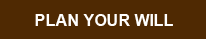 Play Your Will
